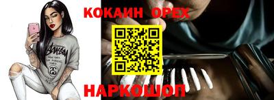 СК Дубна