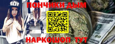 СК Дубна