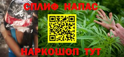 СК Дубна