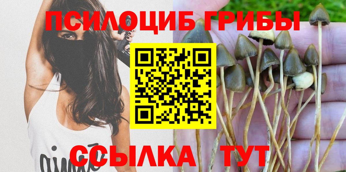 Псилоцибиновые грибы Psilocybine cubensis  Вход с VPN  Пермь 