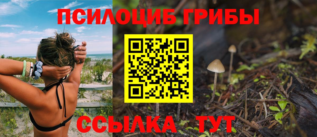 Галлюциногенные грибы Magic Shrooms  Пермь  Псилоцибиновые грибы Psilocybe 